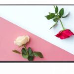 تلفزيون فريش 55LU433R33RQ 55 بوصة LED 4K فائق الوضوح 4K ذكي يعمل بنظام أندرويد مع جهاز تحكم عن بعد - أسود